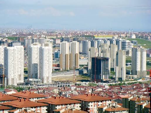 Esenyurt Catı Aktarma ve İzolasyon